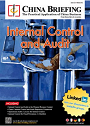 Internal control & audit