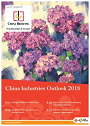 China-industries-outlook-2018