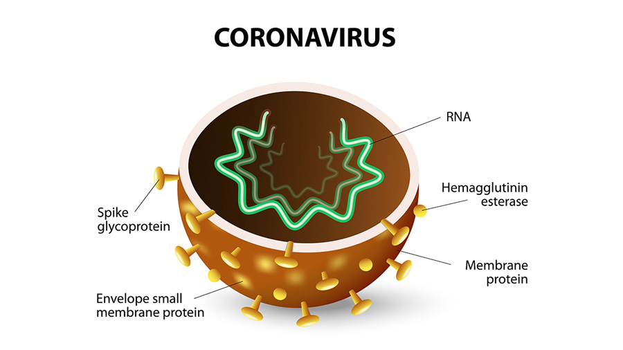 Managing Your China Business Coronavirus Updates Till April 30
