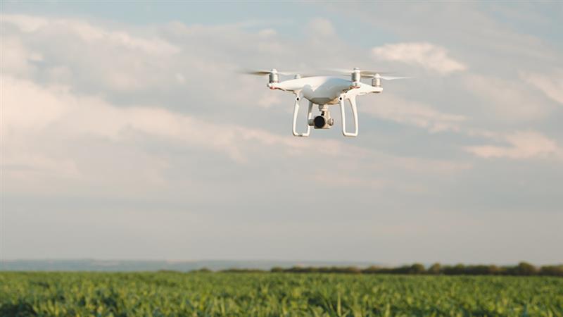 China’s Flourishing Agritech Sector - Opportunities for Foreign Investors