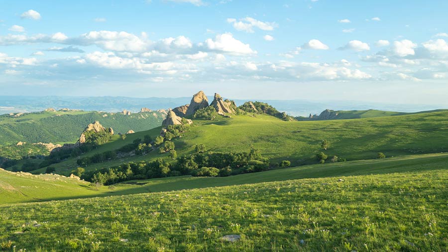 China’s Free Trade Zone Expands to 23 with Inner Mongolia Addition